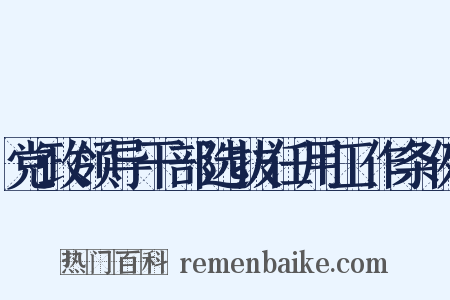 党政领导干部选拔任用工作条例是什么意思的图片